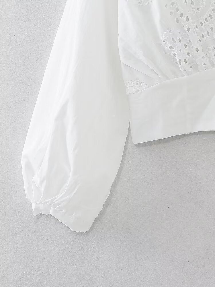Lace V-neck Embroidery Short Blouse