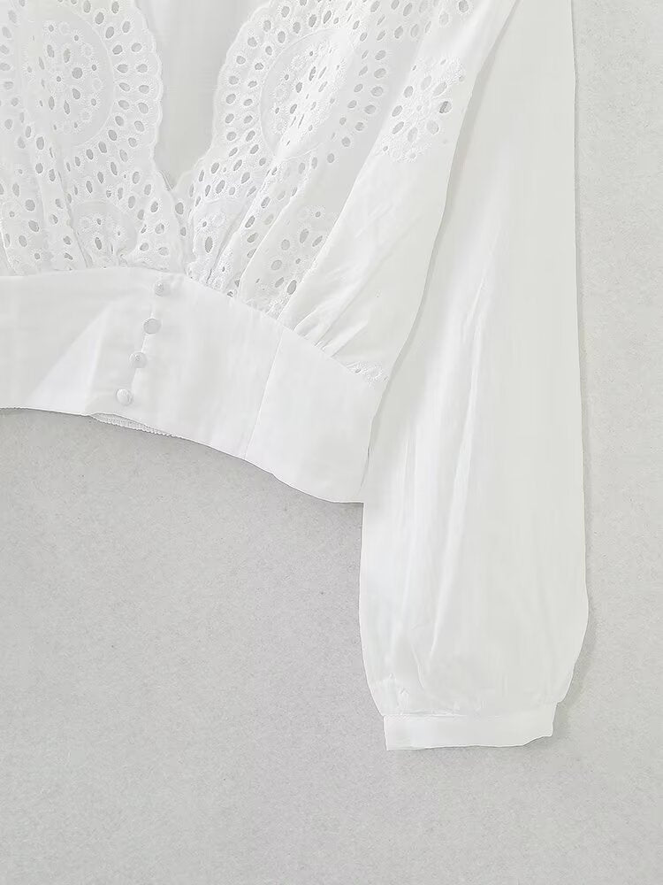 Lace V-neck Embroidery Short Blouse