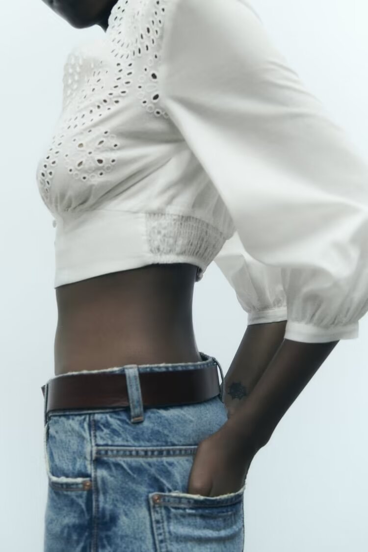Lace V-neck Embroidery Short Blouse