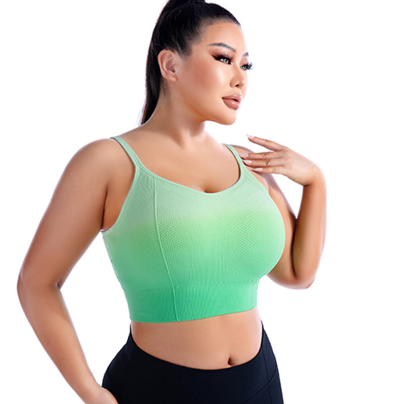 High Elastic Push Up Top