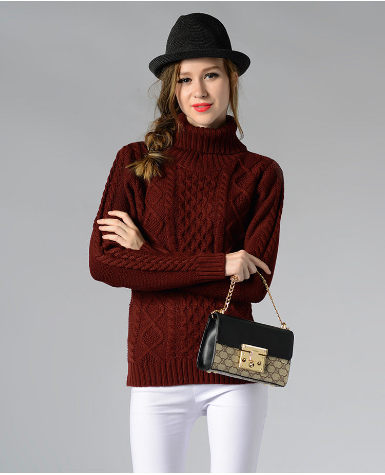 Turtleneck Long Sleeve Twisted Sweater