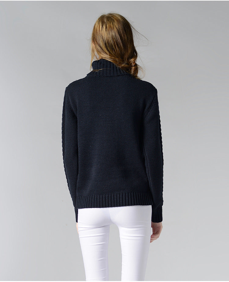 Turtleneck Long Sleeve Twisted Sweater