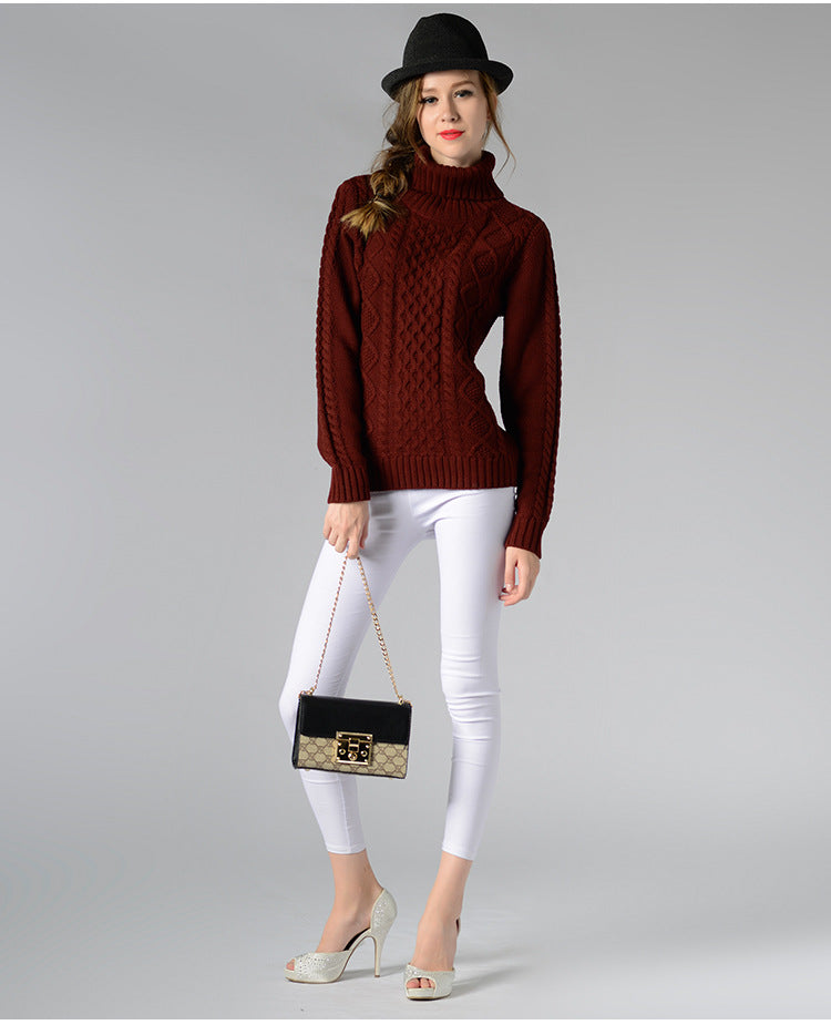 Turtleneck Long Sleeve Twisted Sweater