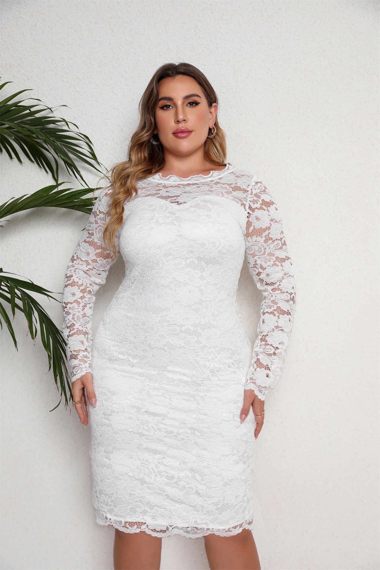Verity Plus Size Lace Dress