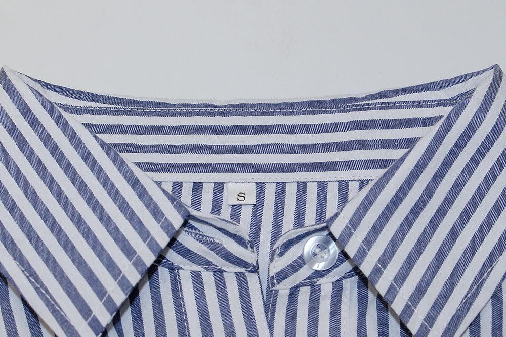 Blue Striped Button Down Shirt