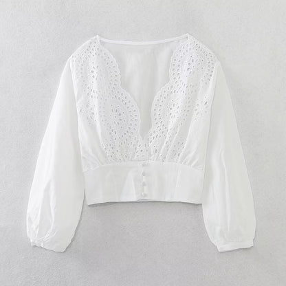 Lace V-neck Embroidery Short Blouse
