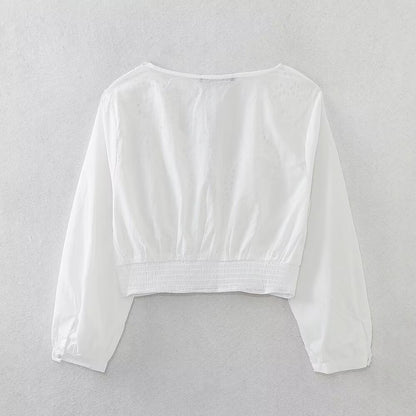 Lace V-neck Embroidery Short Blouse
