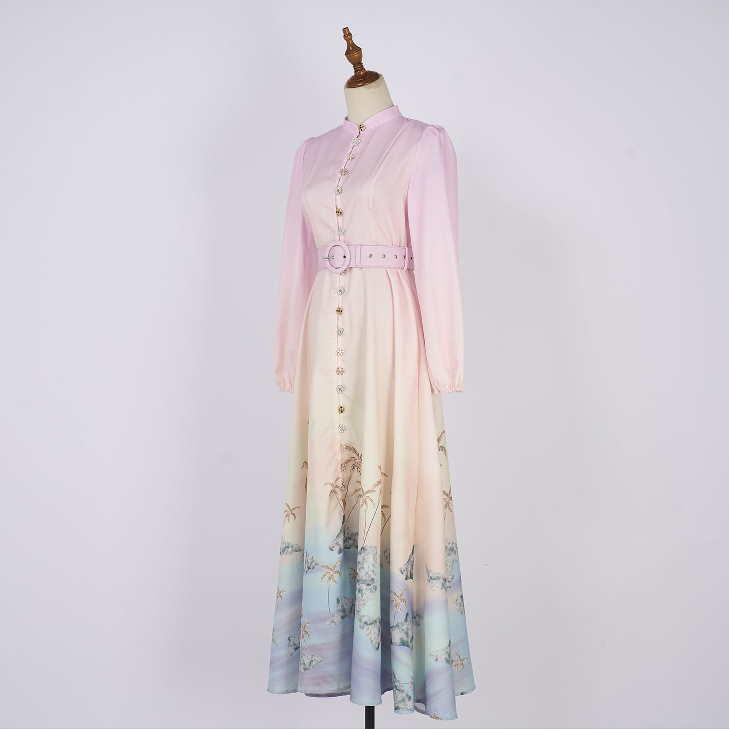 Printed Single Button Stand Up Collar A Line Long Dress
