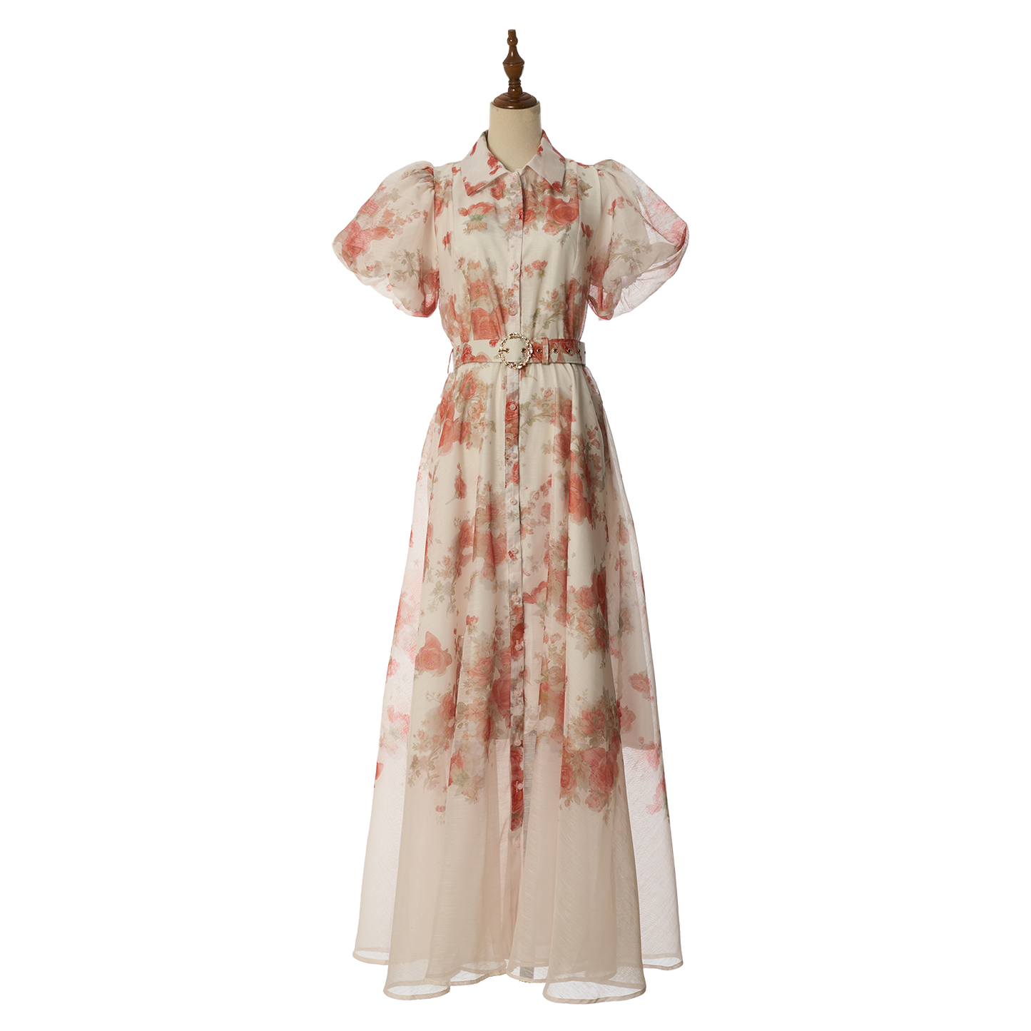 Apricot
