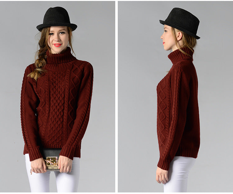 Turtleneck Long Sleeve Twisted Sweater