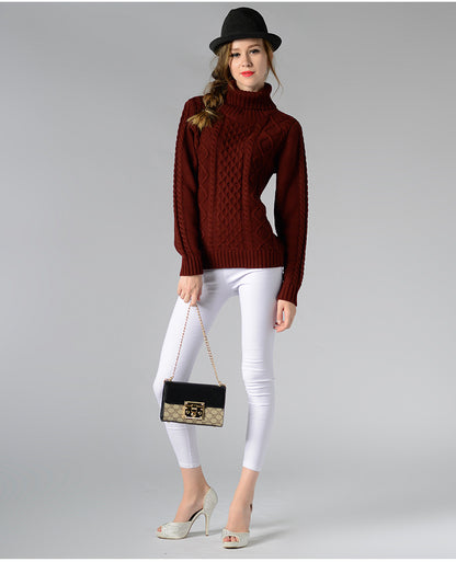 Turtleneck Long Sleeve Twisted Sweater
