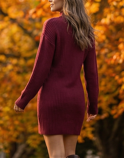 Turtleneck Raglan Sleeve Sweater Dress
